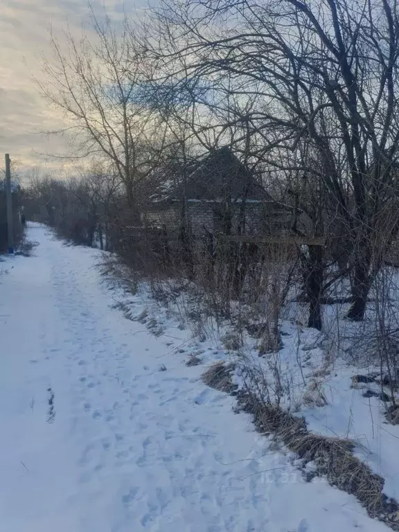 Участок в Нижегородская область, Бор Малое Пикино мкр, ул. Заозерная ... - Фото 1