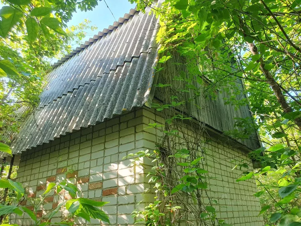 Участок в Ульяновская область, Ульяновск Горизонт СНТ,  (5.2 сот.) - Фото 1