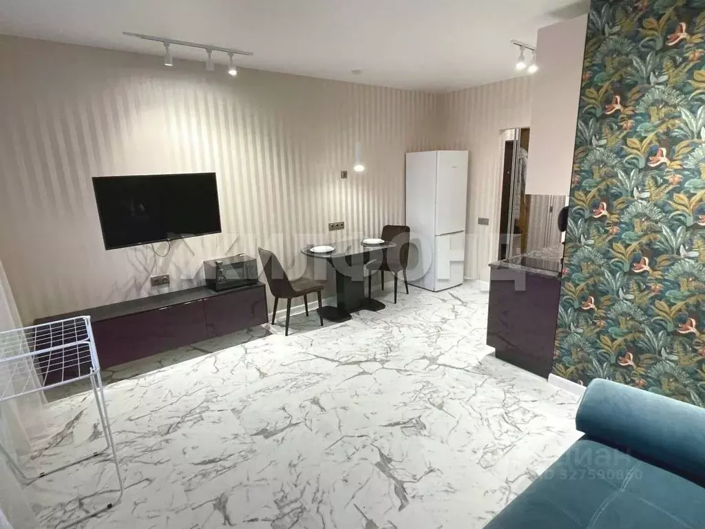 Студия Новосибирская область, Новосибирск ул. Писарева, 125 (29.0 м) - Фото 1