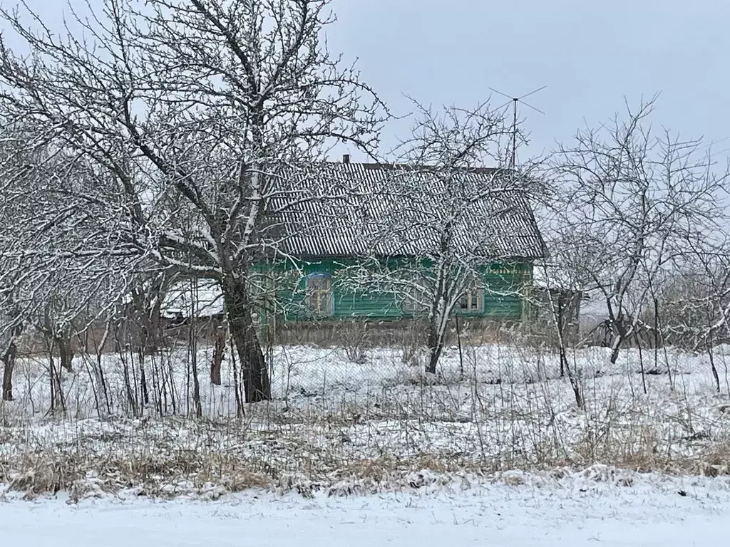 Дом в Псковская область, Красногородский муниципальный округ, д. ... - Фото 0