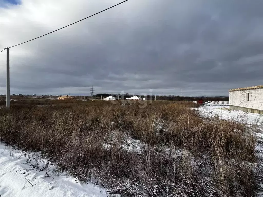 Участок в Белгородская область, Белгородский район, с. Стрелецкое ул. ... - Фото 0