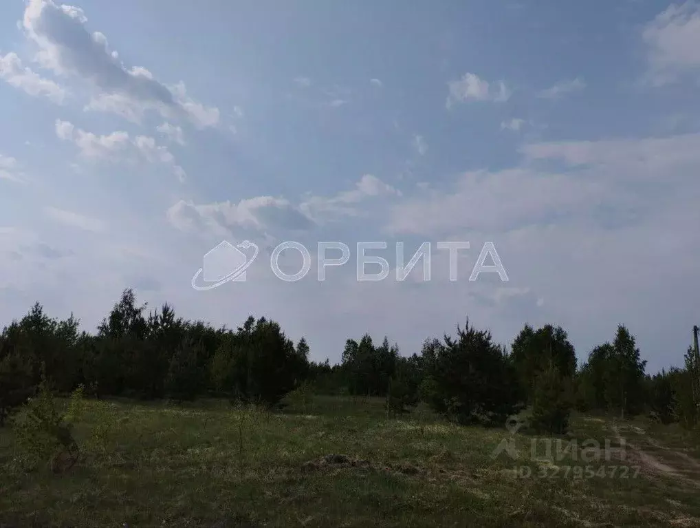 Участок в Тюменская область, с. Нижняя Тавда ул. Березовая, 11 (10.0 ... - Фото 1