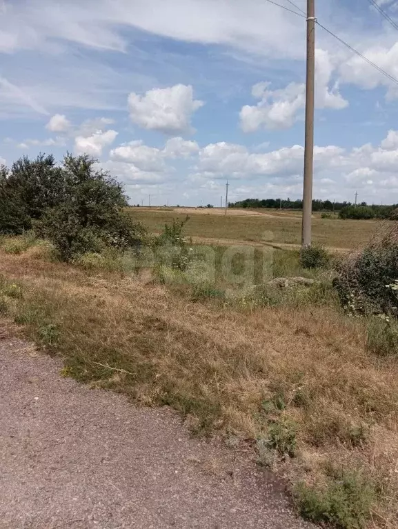 Участок в Саратовская область, Самойловский район, Святославское ... - Фото 0