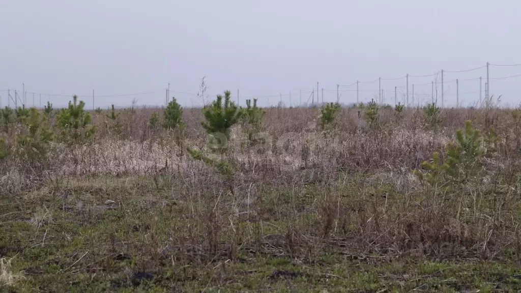 Участок в Тюменская область, Тюменский муниципальный округ, д. ... - Фото 0