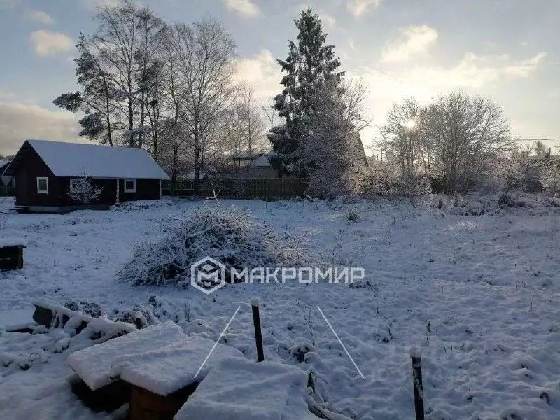 Участок в Ленинградская область, Никольское Тосненский район, ... - Фото 1