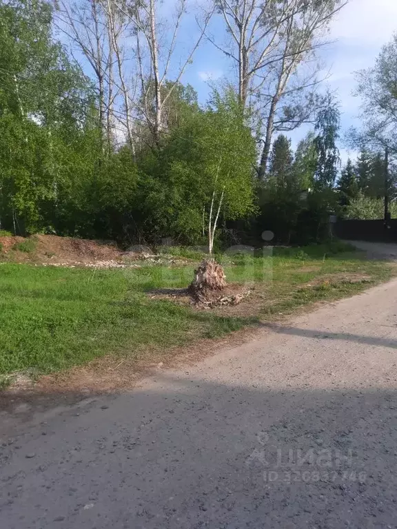 Участок в Алтайский край, Бийский район, Катунь СНТ ул. Набережная ... - Фото 1