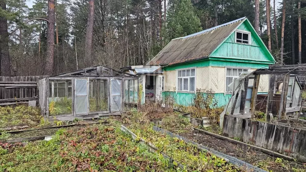 Дом в Брянская область, Сельцо  (25 м) - Фото 0