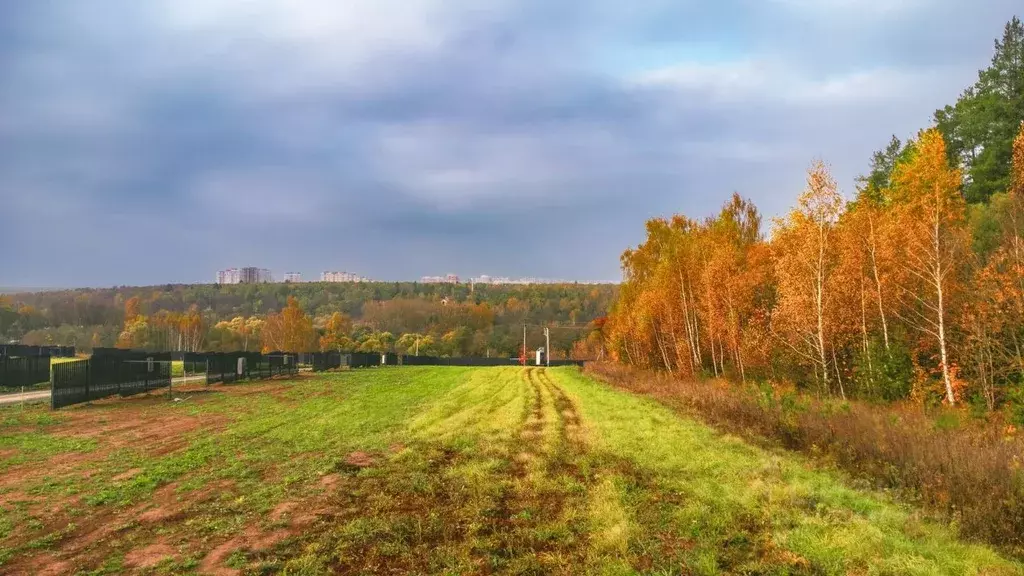 Участок в Московская область, Подольск городской округ, Бородино кп ... - Фото 0