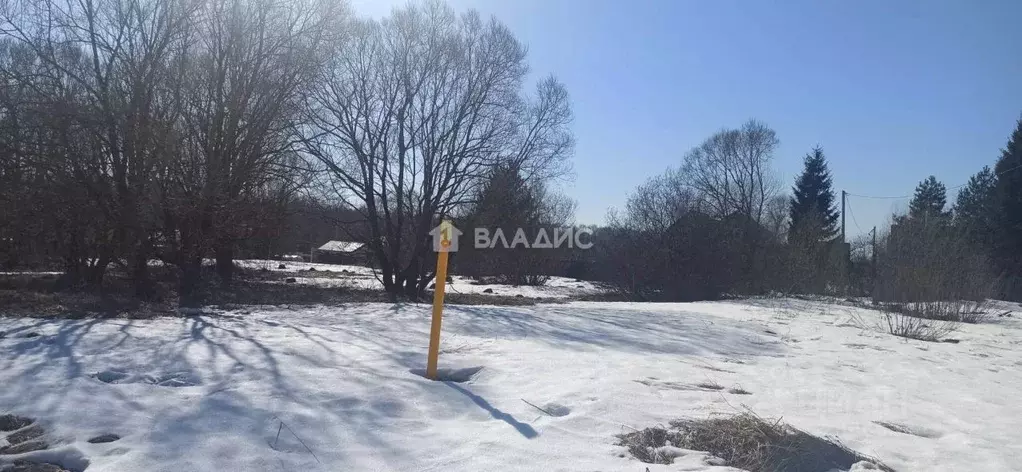 Участок в Владимирская область, Петушинский муниципальный округ, д. ... - Фото 1