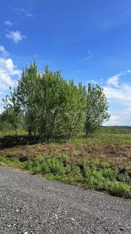 Участок 8 сот. (ИЖС) - Фото 0
