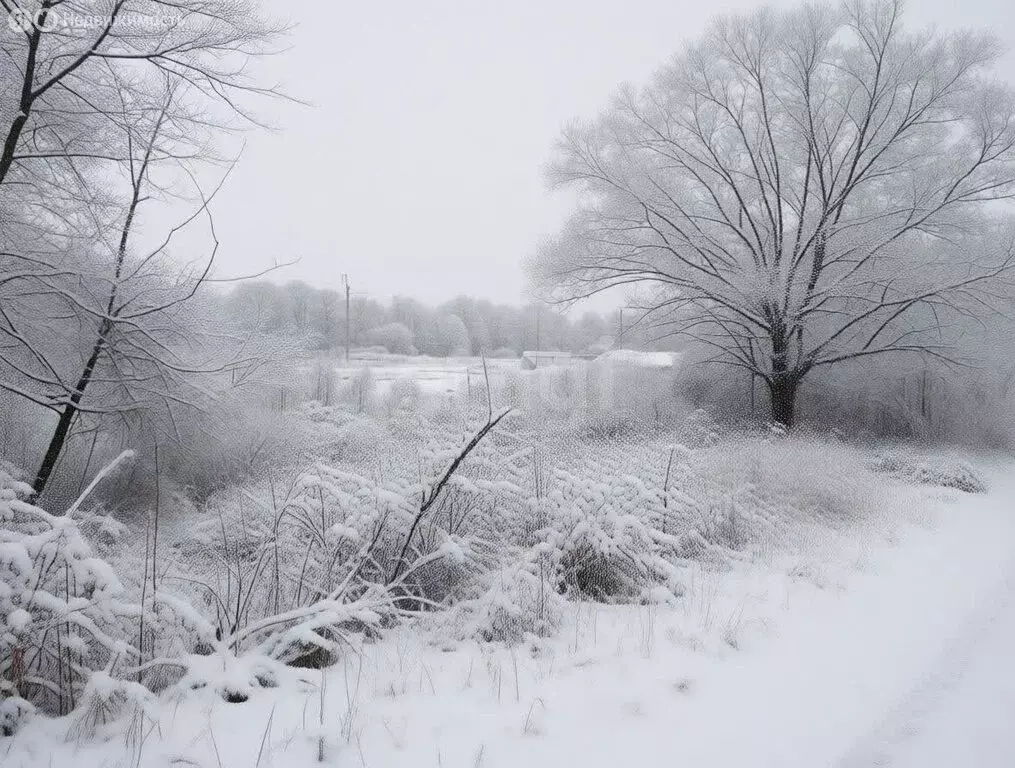 Участок в Заокский район, сельское поселение Демидовское, посёлок ... - Фото 2