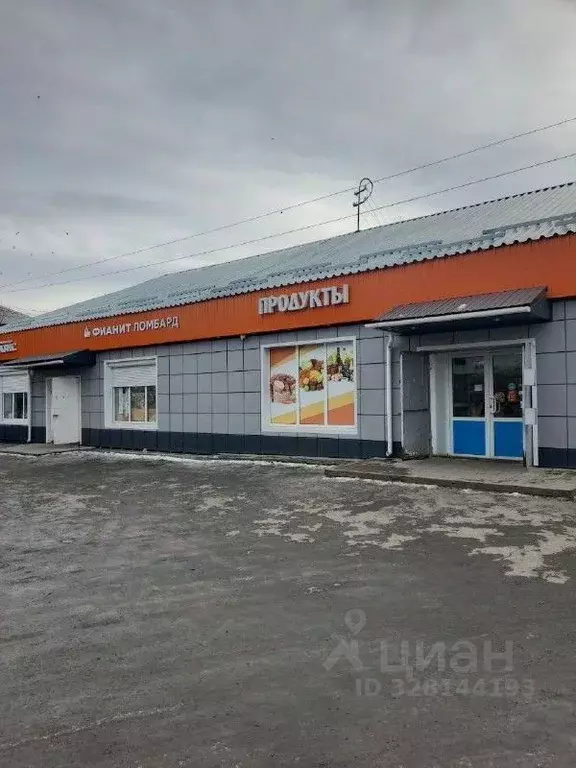 Торговая площадь в Челябинская область, Еманжелинский муниципальный ... - Фото 1