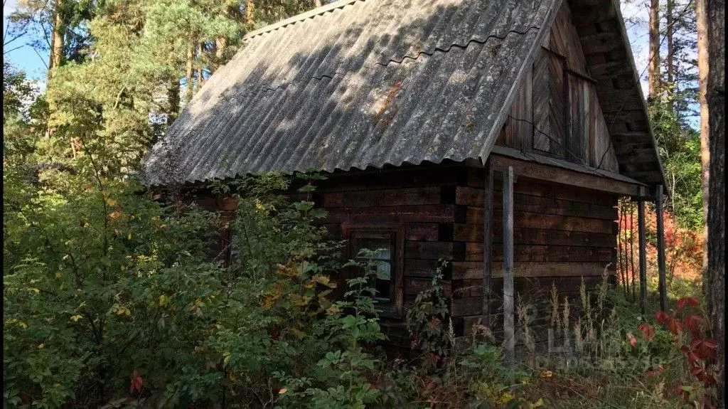 4-к кв. Псковская область, Себежский район, Идрица рп ул. Гагарина, 70 ... - Фото 1