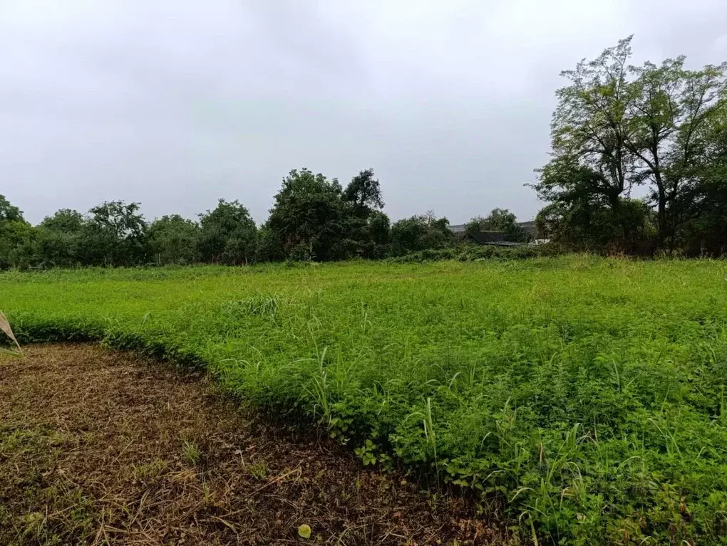 Участок в Северная Осетия, Алагир Первомайская ул. (14.0 сот.) - Фото 2