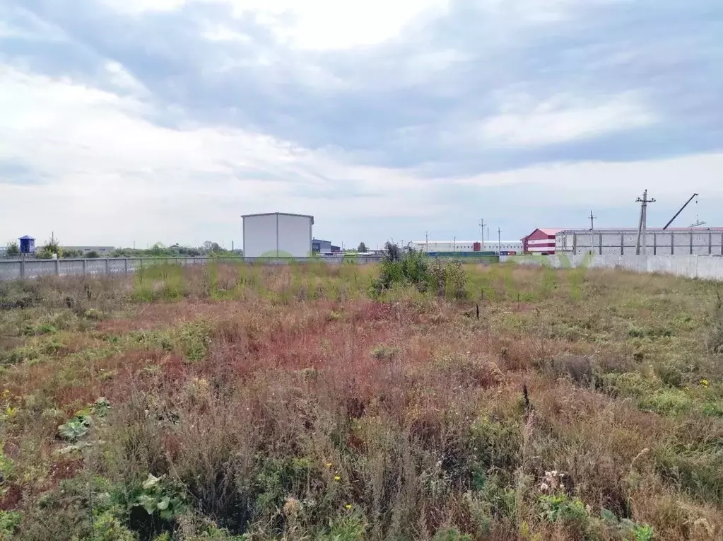 Участок в Новосибирская область, Новосибирск  (50.0 сот.) - Фото 0