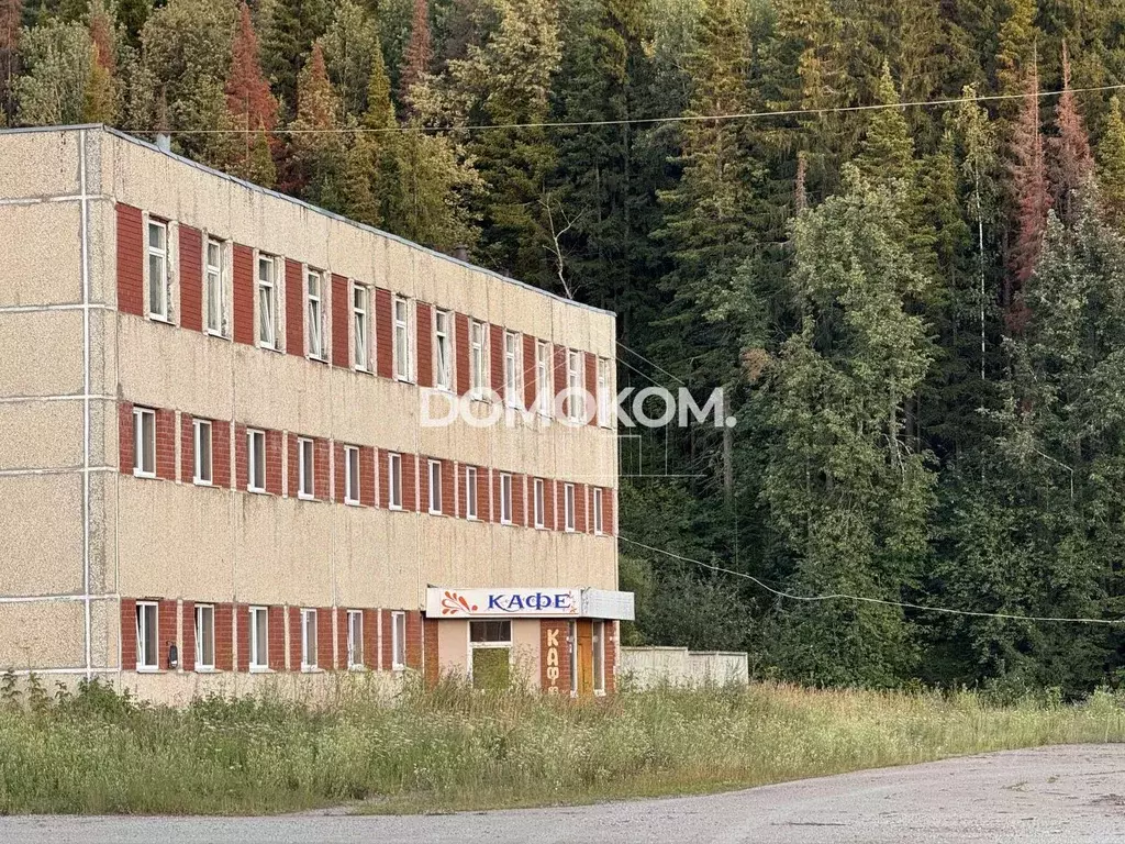 Помещение свободного назначения в Свердловская область, Михайловск ... - Фото 1