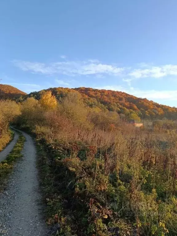Участок в Краснодарский край, Мостовский район, Бесленеевская ст-ца  ... - Фото 1