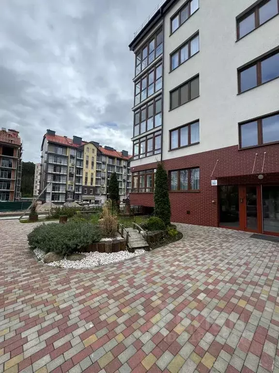 1-к кв. Калининградская область, Светлогорск Майский проезд, 4Б (30.0 ... - Фото 0