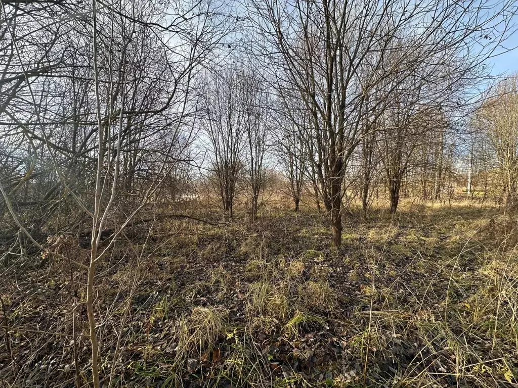 Участок в Московская область, Раменский муниципальный округ, Никитские ... - Фото 2