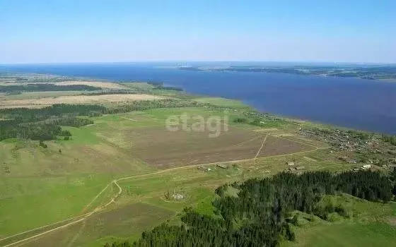 Участок в Пермский край, Ильинский городской округ, с. Дмитриевское  ... - Фото 0