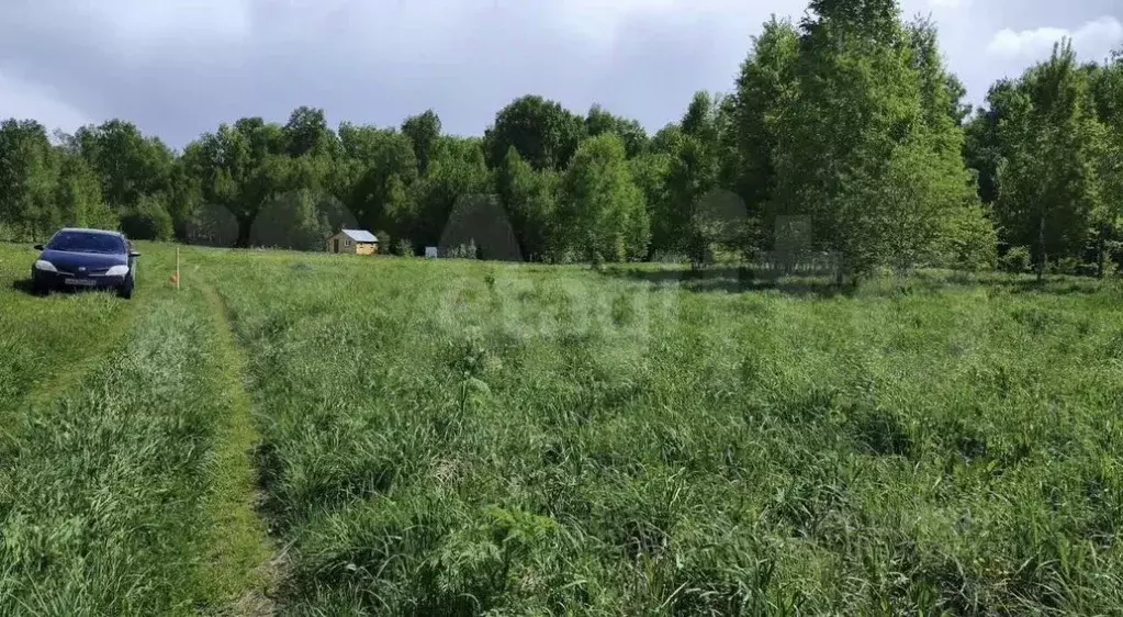 Участок в Новосибирская область, Новосибирский район, Каменский ... - Фото 1