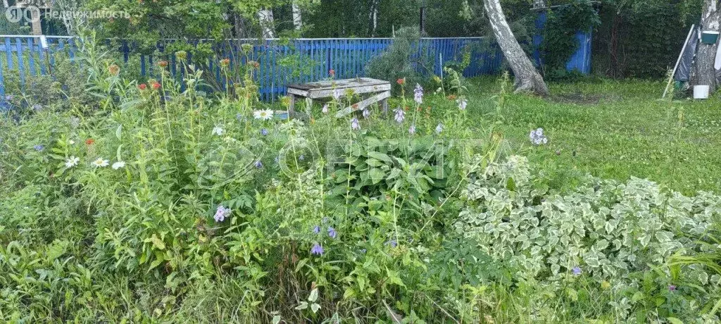 Участок в СНТ Березняки, Цветочная улица, 47 (10 м) - Фото 1