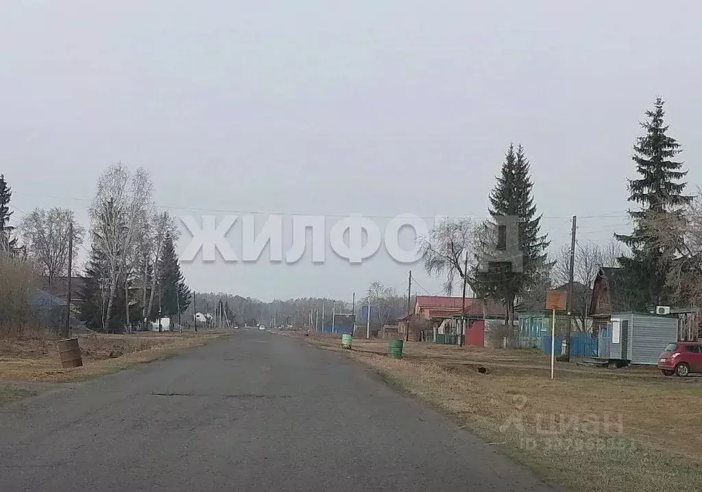 Участок в Новосибирская область, Коченевский район, с. Катково Новая ... - Фото 1