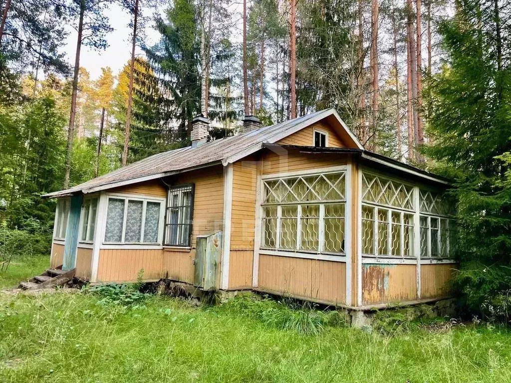 Участок в Ленинградская область, Выборгский район, Полянское с/пос, ... - Фото 2