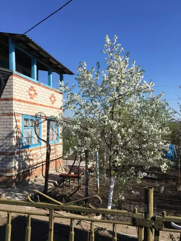 Участок в Белгородская область, Белгородский район, Разумное рп ул. ... - Фото 0