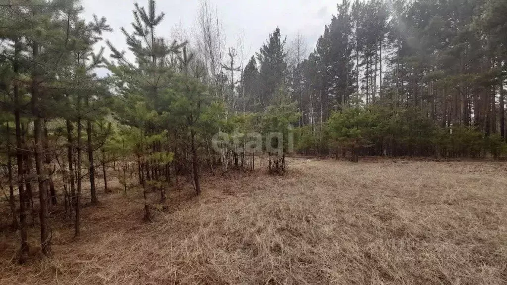 участок в забайкальский край, читинский район, с. смоленка (8.1 сот.) - Фото 0