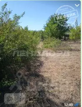 Участок в Ростовская область, Октябрьский район, Персиановское с/пос, ... - Фото 1