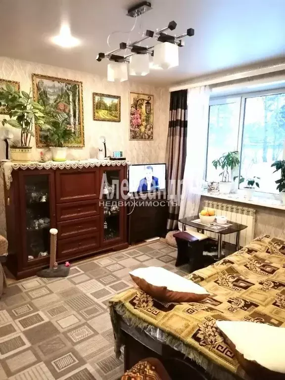 1-к кв. Ленинградская область, Приозерский район, пос. Сосново ул. ... - Фото 1