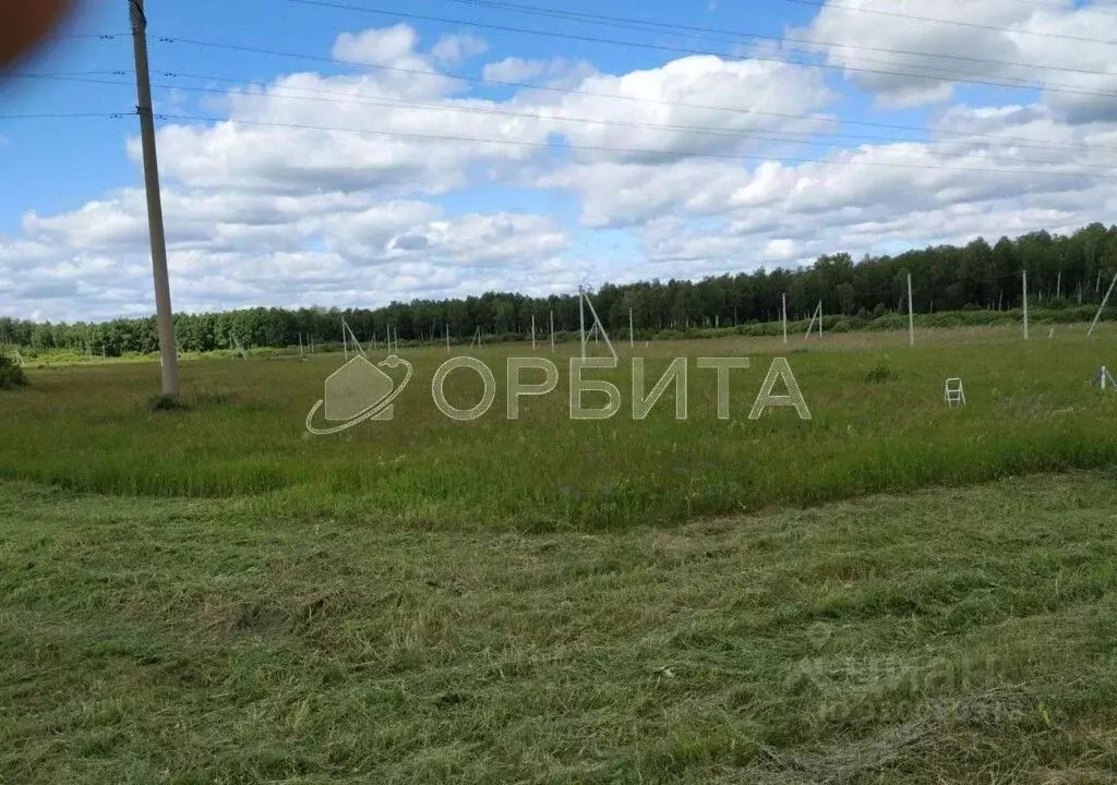 Участок в Тюменская область, Тюменский район, д. Елань 14 (8.0 сот.) - Фото 0