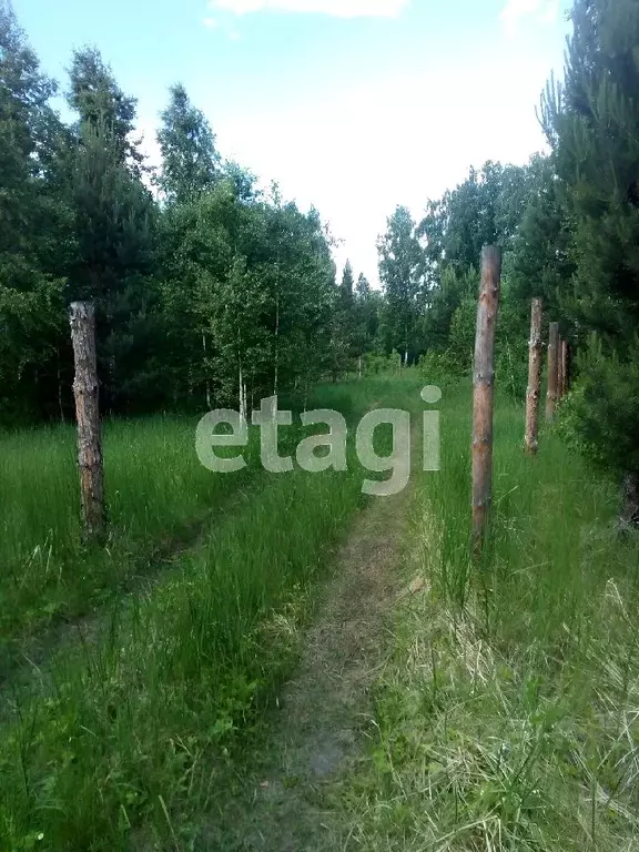 Участок в Курганская область, Шадринский муниципальный округ, д. ... - Фото 1