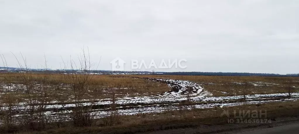 Участок в Белгородская область, Белгородский район, Никольское с/пос, ... - Фото 0