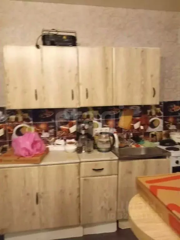 Студия Новосибирская область, Мошковский район, пос. Октябрьский ул. ... - Фото 1