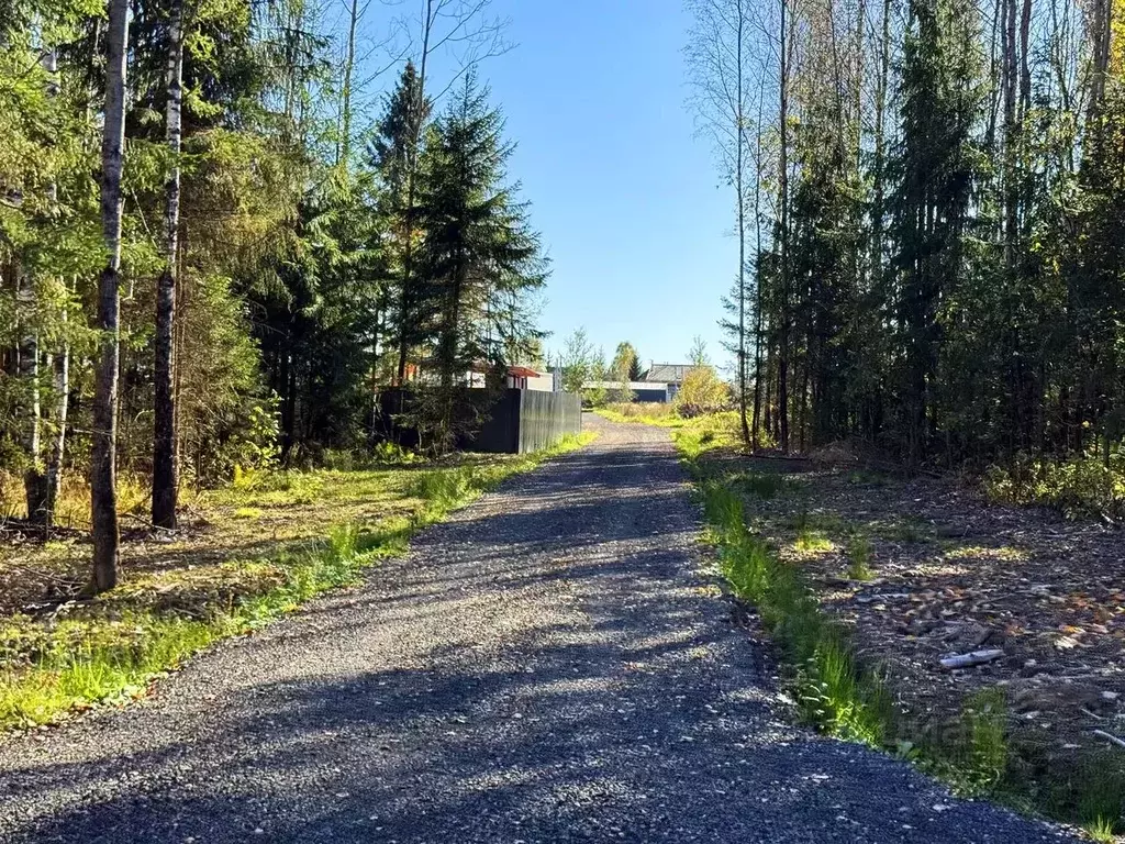 Участок в Московская область, Дмитровский муниципальный округ, ... - Фото 1