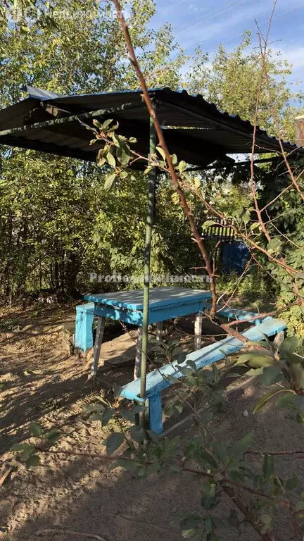 Дом в Республика Тыва, Кызыл (20 м) - Фото 2