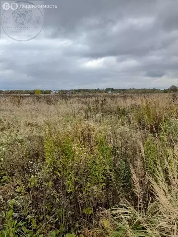 Участок в Московская область, Раменский муниципальный округ, село ... - Фото 0