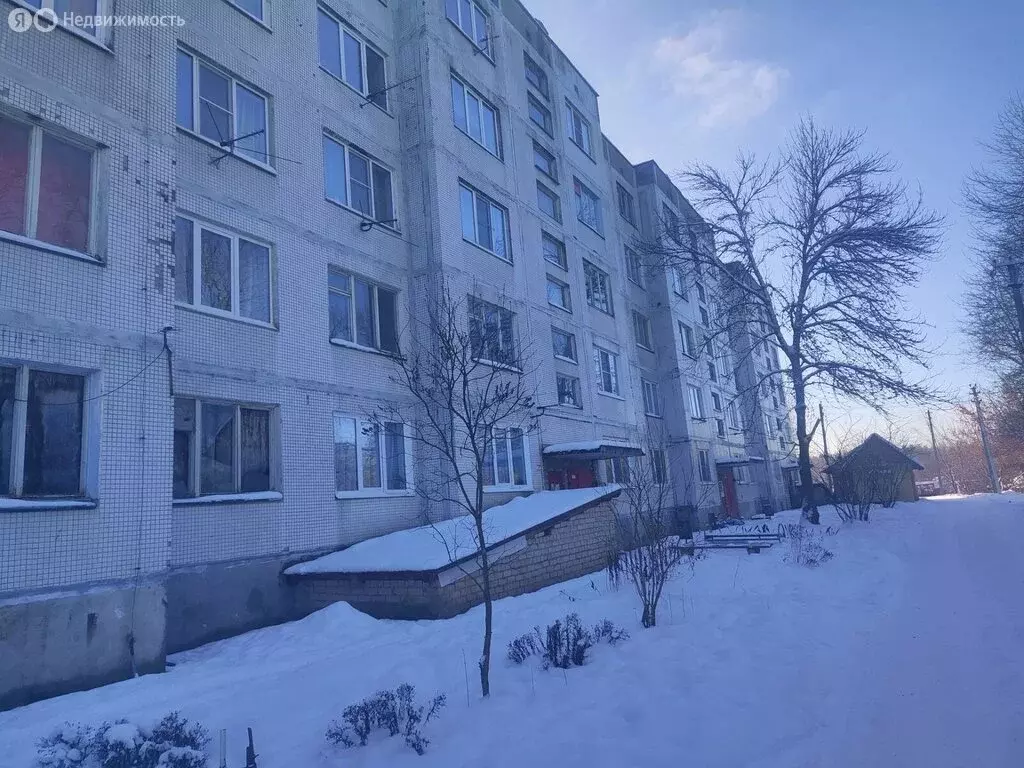 2-комнатная квартира: деревня Большой Сабск, 11 (50.8 м) - Фото 1