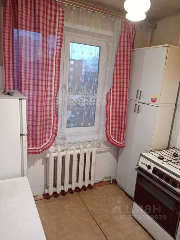 1-к кв. Владимирская область, Владимир ул. Лакина, 147а (30.5 м) - Фото 1