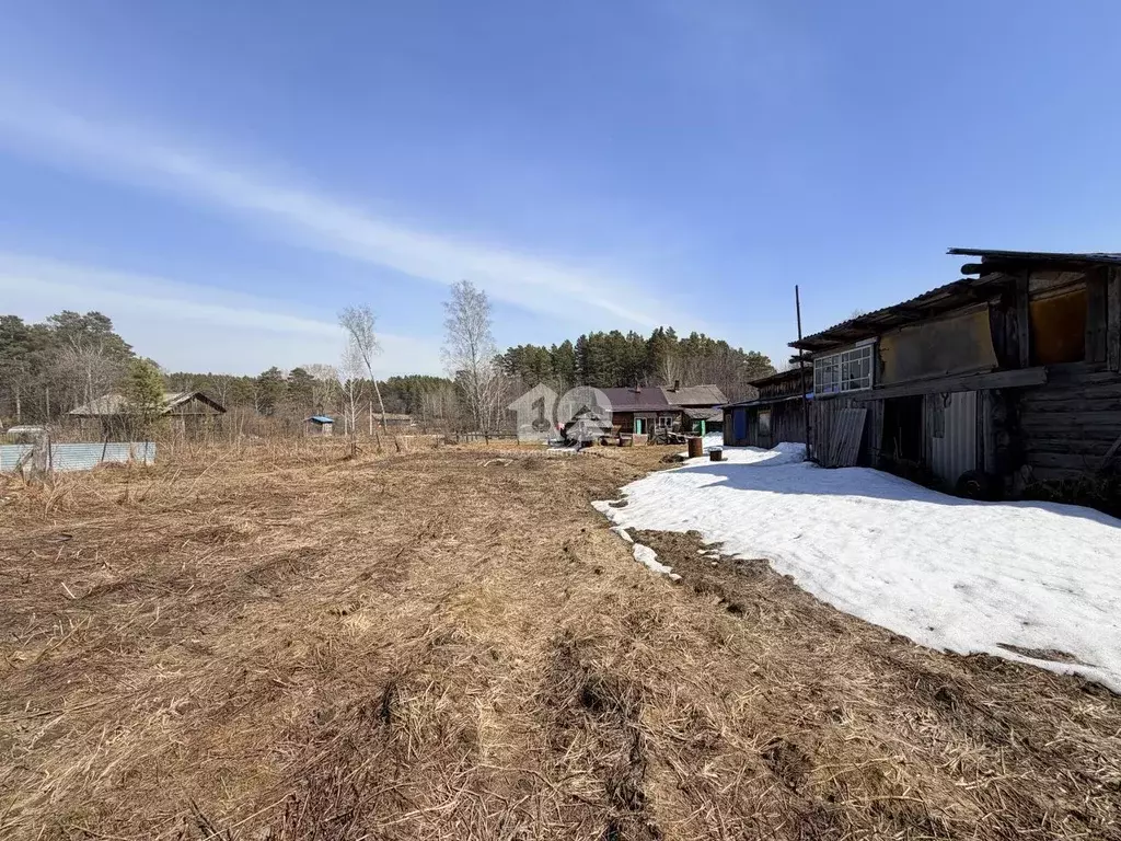 Участок в Новосибирская область, Новосибирский район, Кубовинский ... - Фото 1
