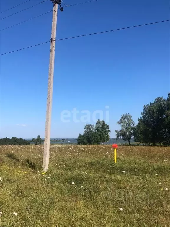 Участок в Новосибирская область, Новосибирский район, Кубовинский ... - Фото 1