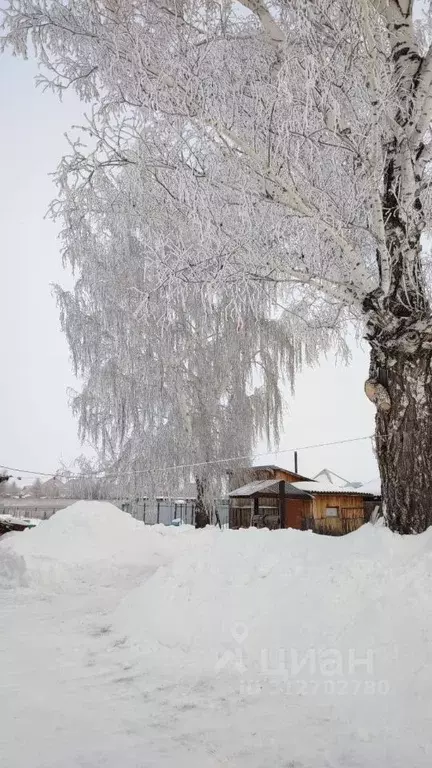 Участок в Новосибирская область, Новосибирский район, Толмачевский ... - Фото 0