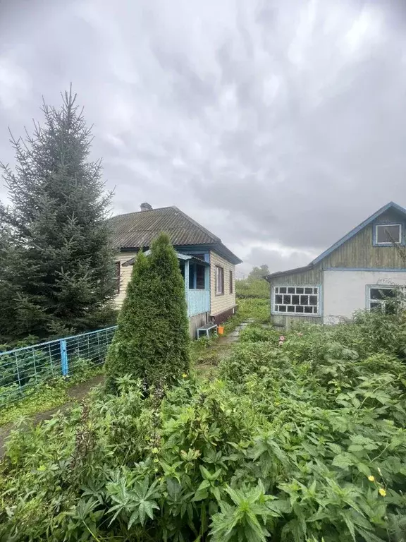 Дом в Кемеровская область, Калтан ул. Лазо (34 м) - Фото 2