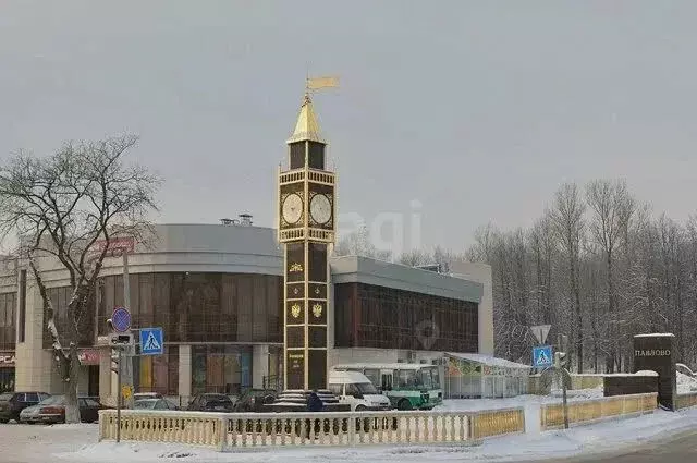 Участок в Ленинградская область, Колтуши Всеволожский район, д. ... - Фото 1