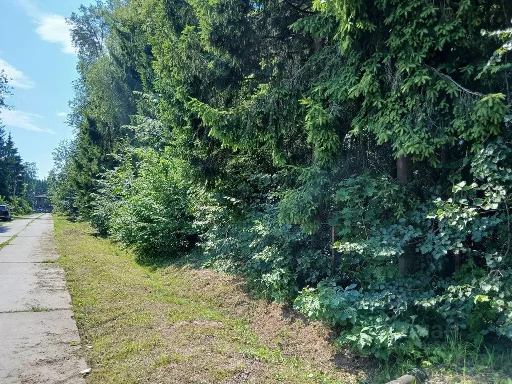 Участок в Московская область, Одинцовский городской округ, д. Сивково, ... - Фото 1