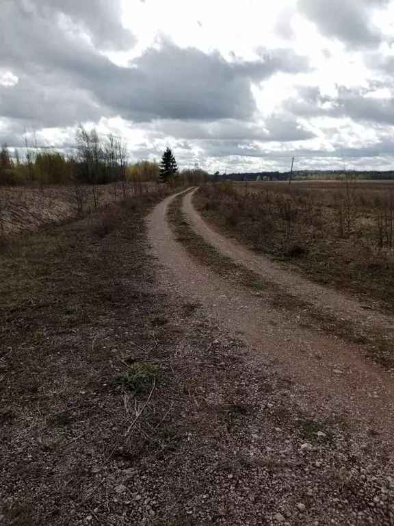 Участок в Новгородская область, Солецкий муниципальный округ  (500.0 ... - Фото 1