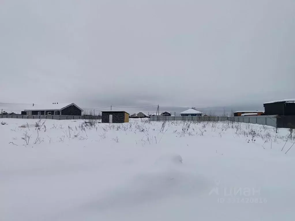 Участок в Московская область, Домодедово городской округ, д. Матчино, ... - Фото 2