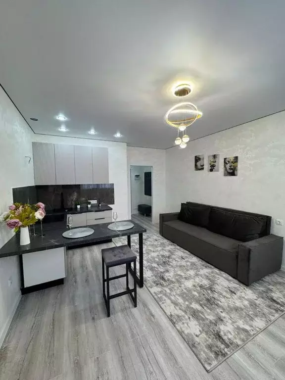 Студия Краснодарский край, Краснодар ул. Ивана Беличенко, 89 (24.0 м) - Фото 2